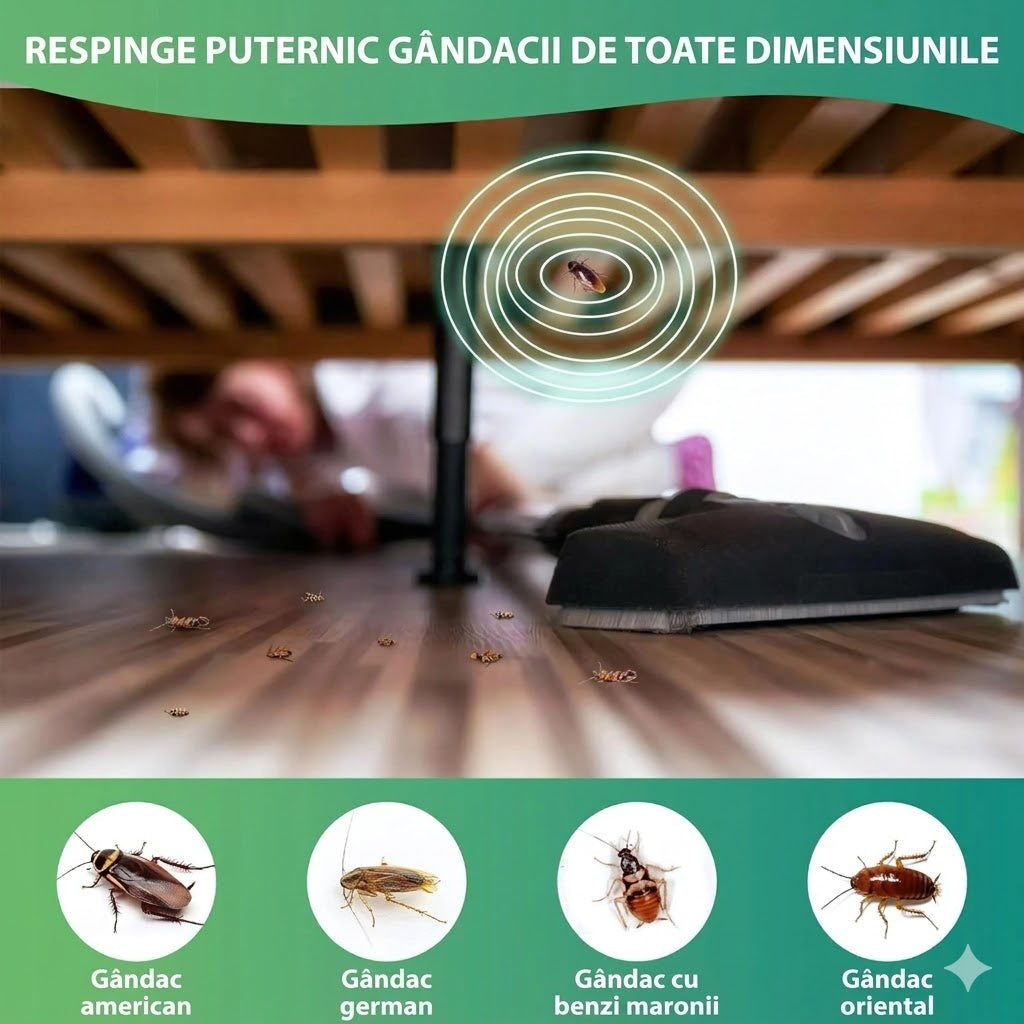 CAPCANǍ DE GANDACI
