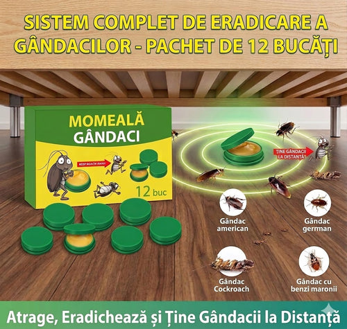 CAPCANǍ DE GANDACI